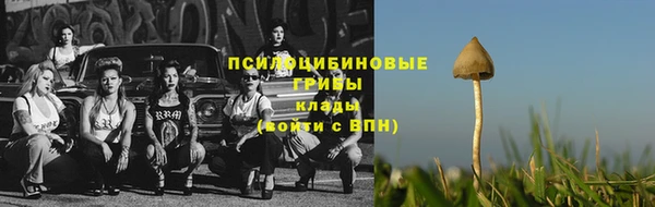 гидропоника Баксан