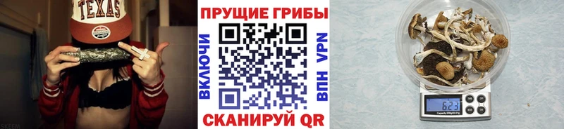 Галлюциногенные грибы мухоморы  Семёнов 